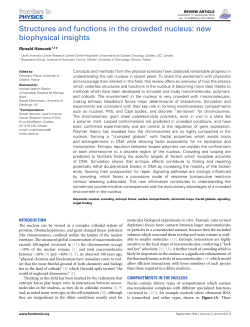 Structures and functions in the crowded nucleus: new biophysical