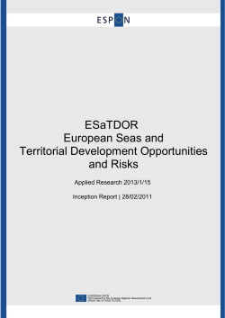 Annex 10: (Draft) final reports template