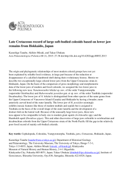 Late Cretaceous record of large soft