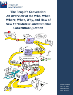 Breifing Paper on the Constitutional Convention