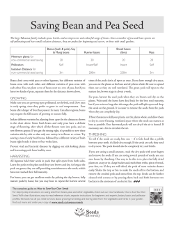 Saving Bean and Pea Seed