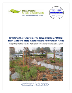 Creating the Future in The Corporation of Delta