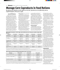 Manage Corn Coproducts in Feed Rations