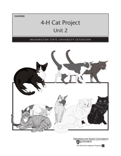 4-H Cat Project - Colorado 4-H