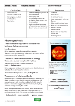 Photosynthesis - E
