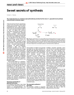 Sweet secrets of synthesis
