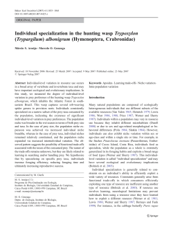 Individual specialization in the hunting wasp Trypoxylon