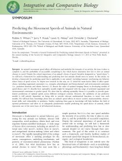 Predicting the Movement Speeds of Animals in Natural Environments
