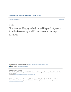 The Mosaic Theory in Individual Rights Litigation: On the Genealogy