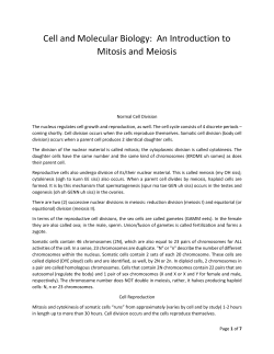 Cell and Molecular Biology: An Introduction to Mitosis and Meiosis