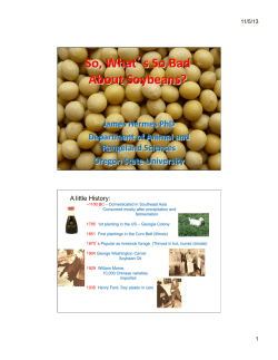 So, What`s So Bad About Soybean