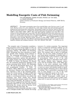 Modelling energetic costs of fish swimming