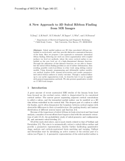 A New Approach to 3D Sulcal Ribbon Finding from MR Images
