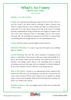 What`s So Funny - Gallery Teachers