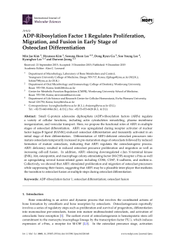 ADP-Ribosylation Factor 1 Regulates Proliferation, Migration, and