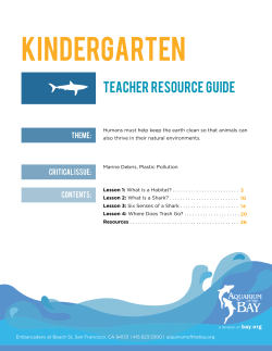 kindergarten - Aquarium of the Bay