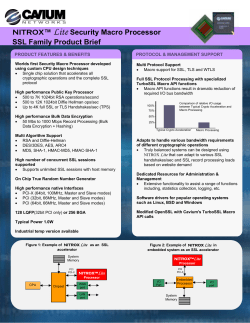 NITROX&trade; Lite Security Macro Processor SSL Family