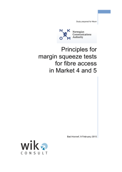 2 Definition of a margin squeeze