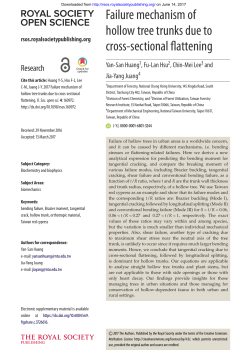 Failure mechanism of hollow tree trunks due to cross