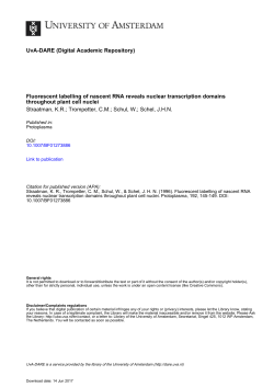 Fluorescent labelling of nascent RNA reveals nuclear - UvA-DARE