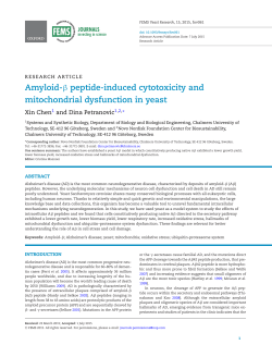 Amyloid-&beta; peptide-induced cytotoxicity and mitochondrial