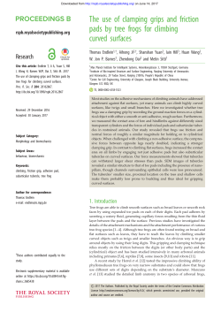 The use of clamping grips and friction pads by tree frogs for climbing