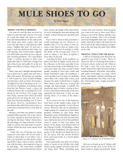 HORSE AND MULE SHOEING For want of a nail the shoe was lost