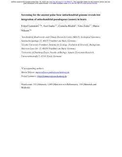 Screening for the ancient polar bear mitochondrial genome reveals