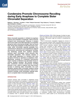 Condensins Promote Chromosome Recoiling during Early