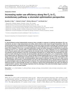 Increasing water use efficiency along the C3 to C4 evolutionary