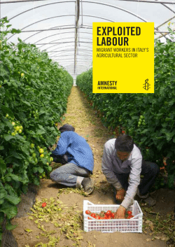 ExploitEd labour - Amnesty International