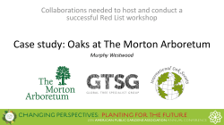 3. APGA Red List workshop WESTWOOD