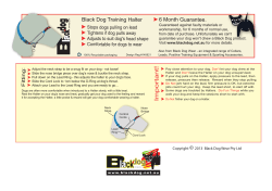 Important! - Black Dog Wear