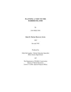 Planning a Visit to the Barrier Islands