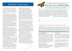 For the Love of Butterflies Butterfly Conservation