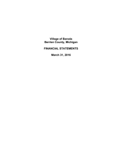 2015-2016 Fiscal Year Financial Statement