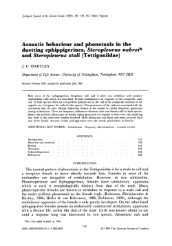 Acoustic behaviour and phonotaxis in the duetting ephippigerines