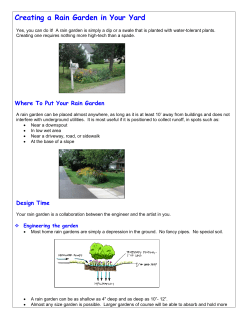 Creating a Rain Garden in Your Yard