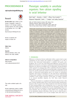 Phenotypic variability in unicellular organisms: from calcium
