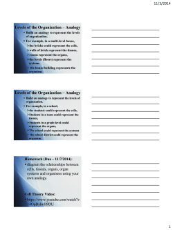 Levels of the Organization &ndash; Analogy Levels of the Organization