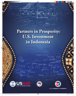 Partners in Prosperity: US Investment in Indonesia