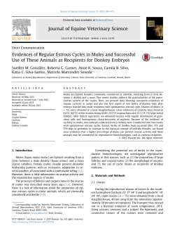 to a PDF - American Mule Association