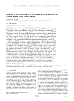 Influence of the Amazon River on the surface optical properties of