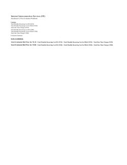 Internet Interconnection Services (IIS)