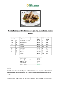 Grilled Mackerel with crushed potato, carrot and