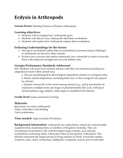 Ecdysis in Arthropods - Gordon State College