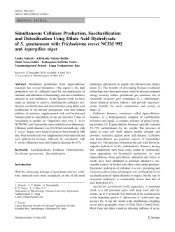 Simultaneous Cellulase Production, Saccharification and