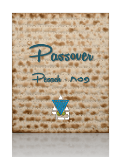 The Seder - Netzer Olami