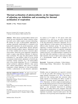 Thermal acclimation of photosynthesis: on the importance