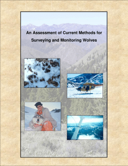 An Assessment of Current Methods for Surveying